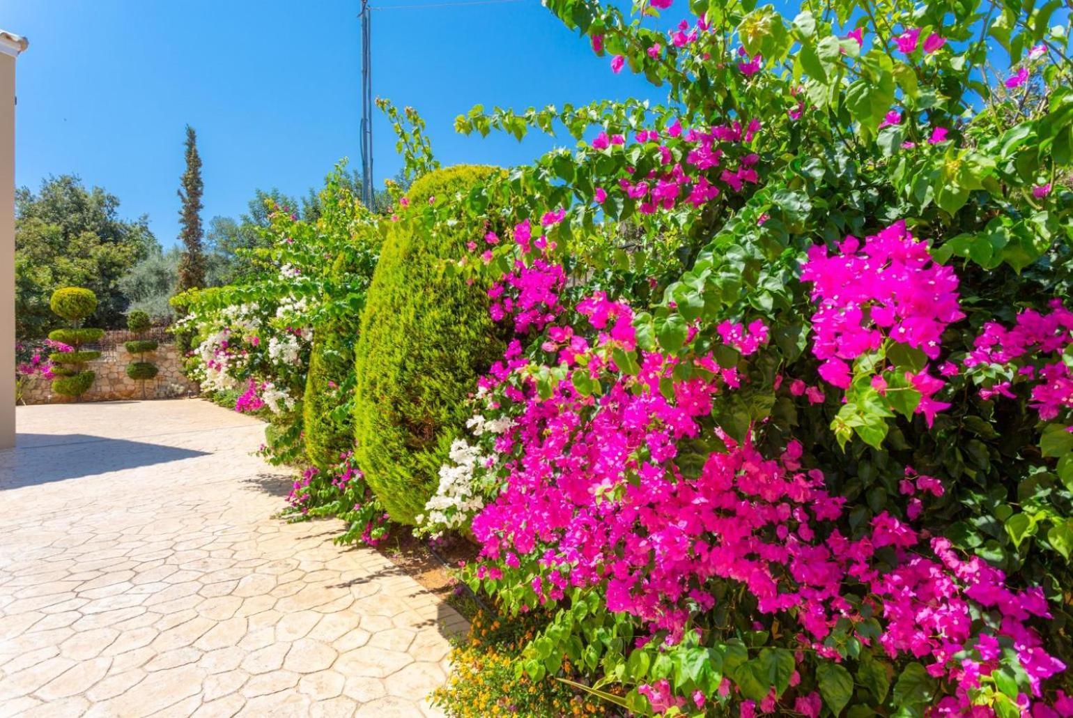 גרני צ'ניון Villa Mary מראה חיצוני תמונה