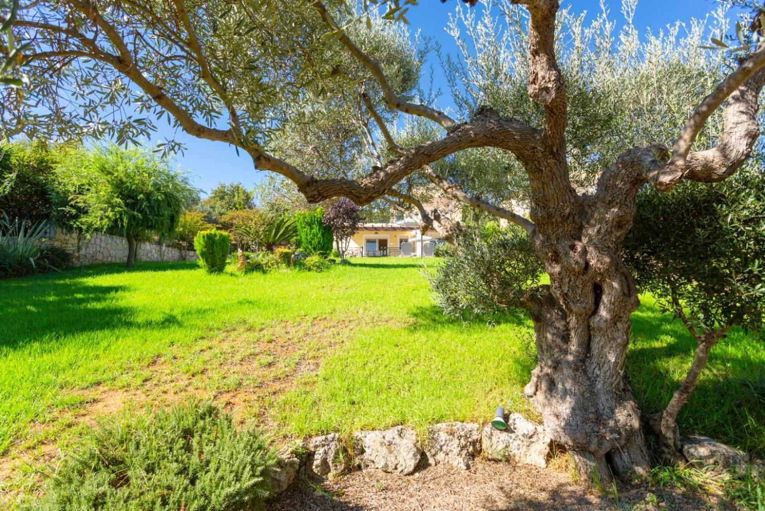 גרני צ'ניון Villa Mary מראה חיצוני תמונה
